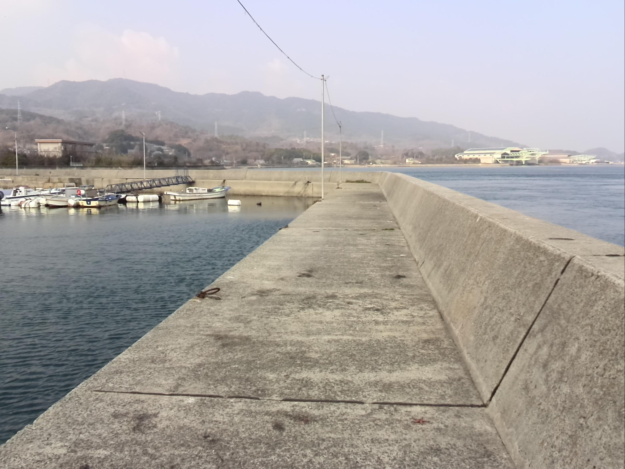 大三島瀬戸港の釣りポイント